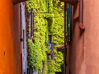 Bellagio